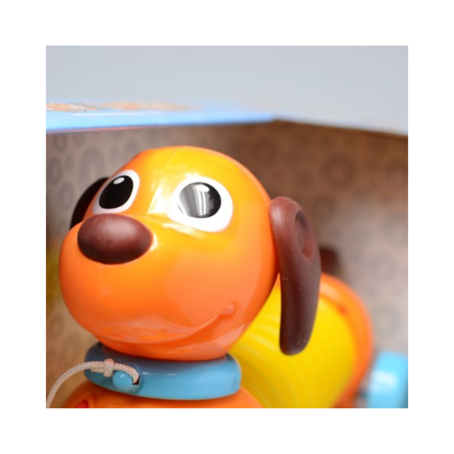 Cachorrinho Totó Sanfona - Zoop Toys
