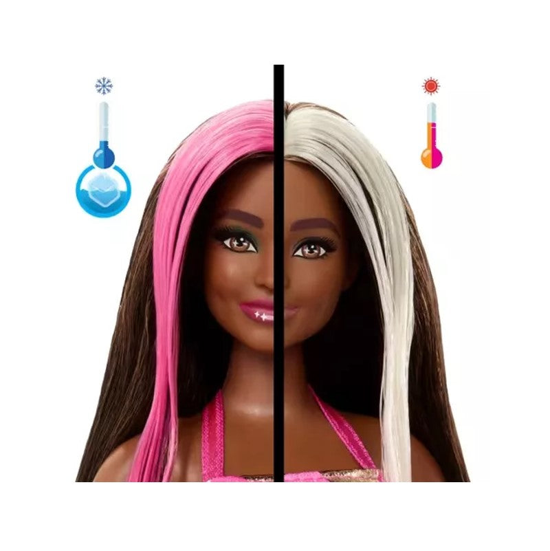 Barbie Festa na Caixa Surpresa - Mattel JFG68