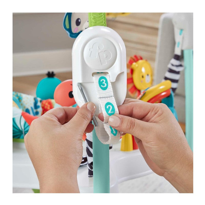 Fisher Price Baby Cadeirinha Pula Pula Floresta - Mattel